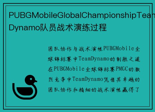 PUBGMobileGlobalChampionshipTeamDynamo队员战术演练过程